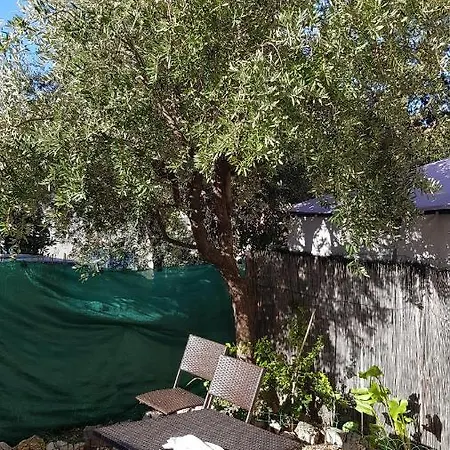 Studio Avec Jardin Privatif A Cros-de-cagnes *